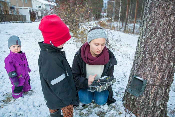 Familj monterar viltkamera på ett träd. Snö på marken. Foto.