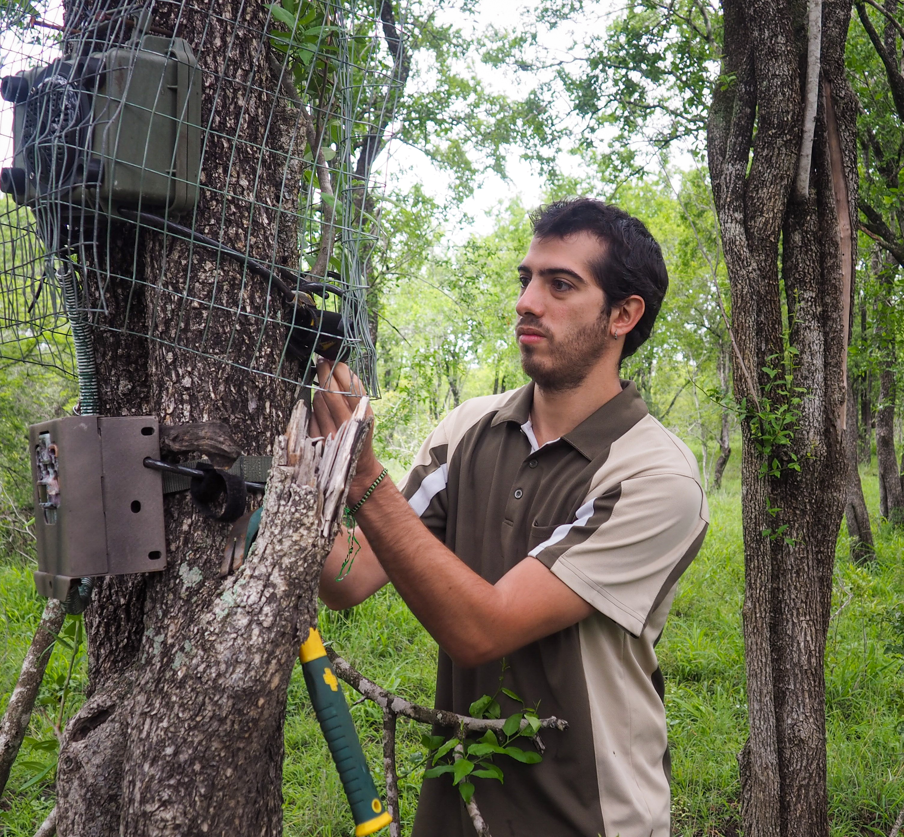 Daniel Gambra doing field work. Photo.