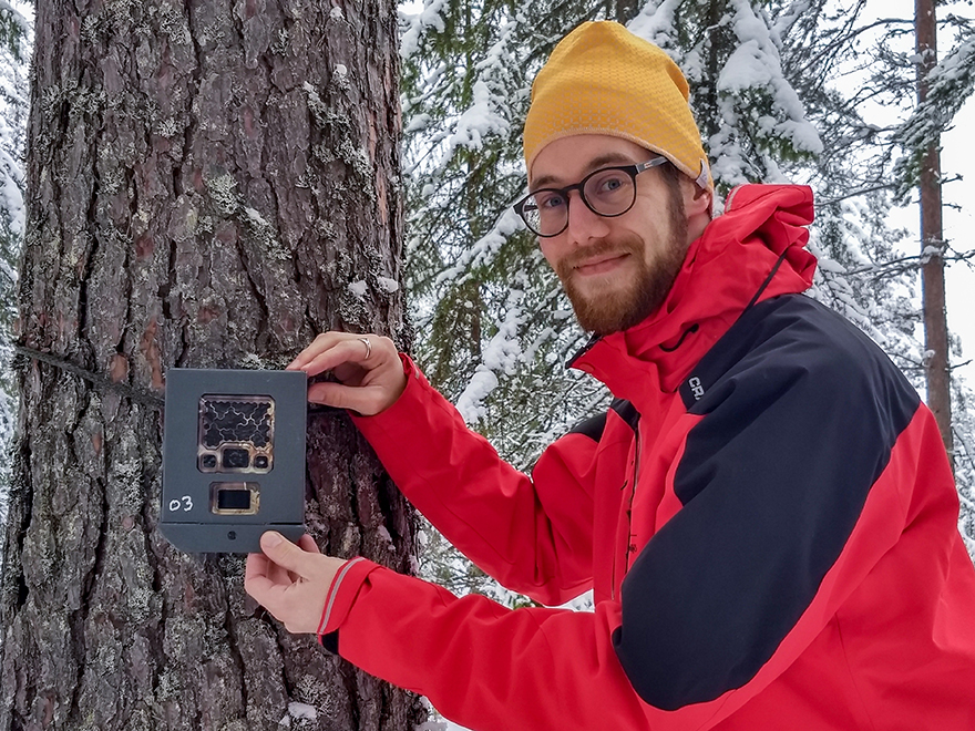 Tim Hofmeester putting up a camera trap. Photo.