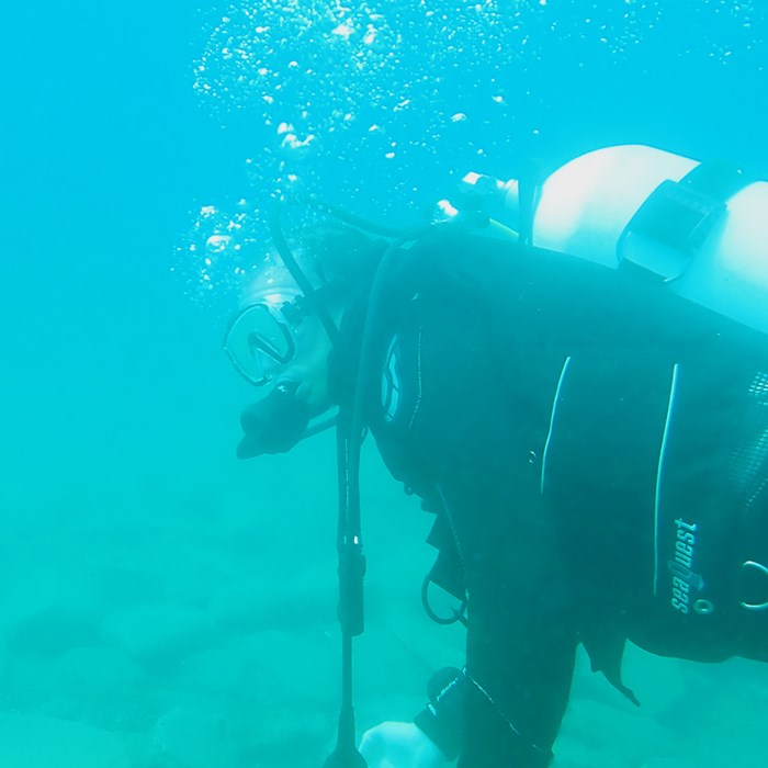 Diver