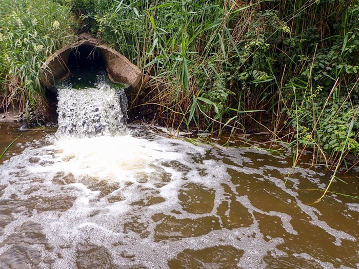 Vatten som rinner ut genom ett rör och ner i ett vattendrag.