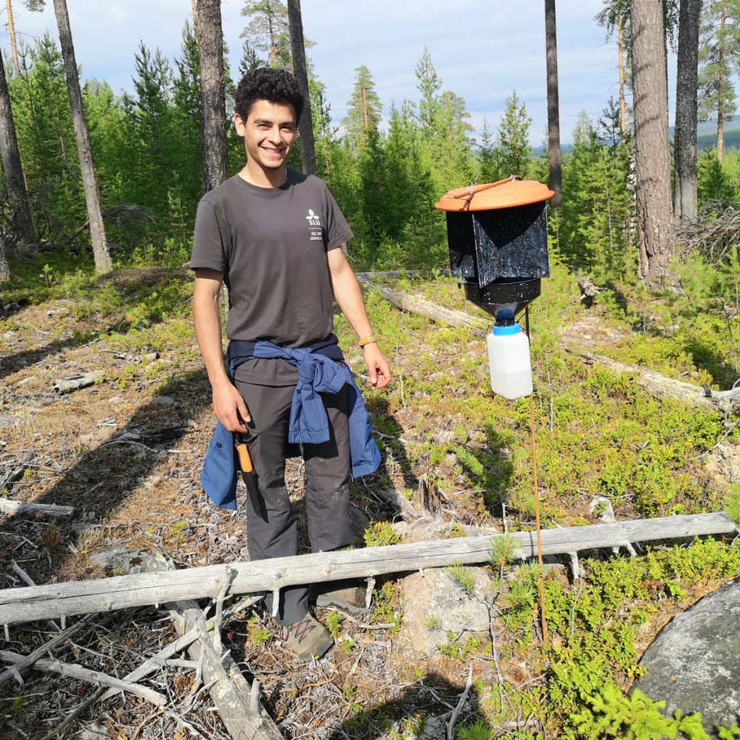 Jaime i skog bredvid en insektsfälla.