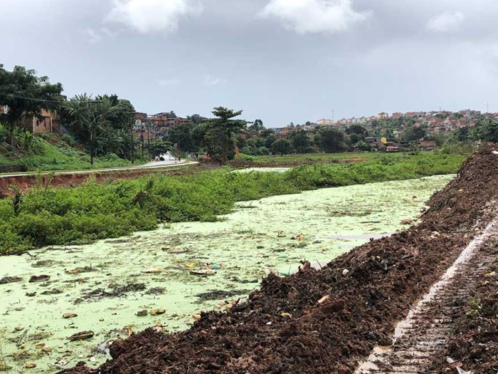  Watercourse with poisonous green water and rubbish.
