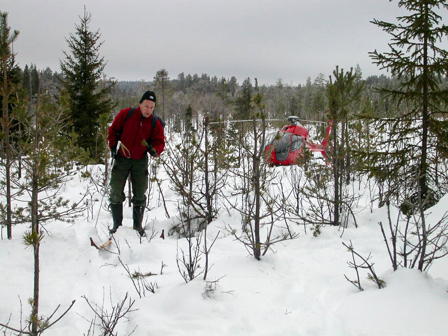 Person på skidor i skog.