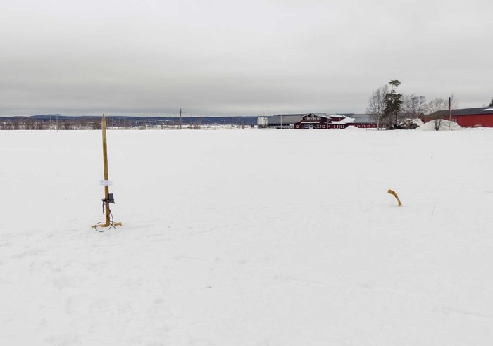 Camera trap on a stick set up in a snow-covered field with bait in front.