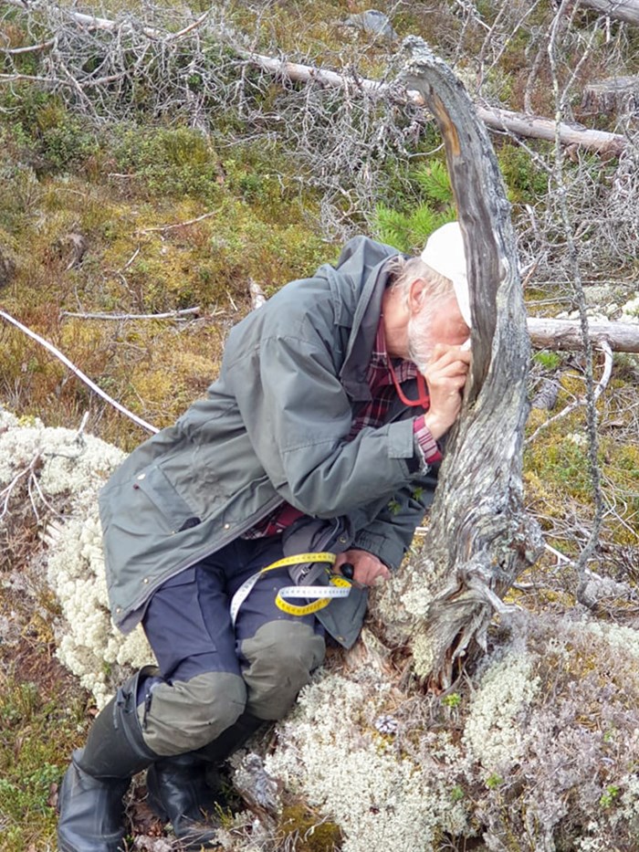 Man examining a lying dead tree with a magnifying glass.