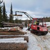 Forest crane lifts logs.