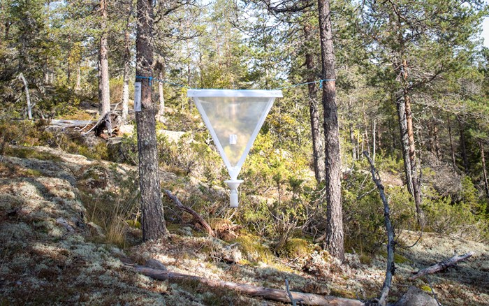 White triangle in thin material set between two trees with a container attached at the bottom.