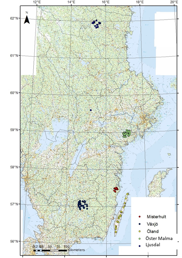 Map showing first tagging position