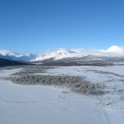 Landscape with snow capped mountains