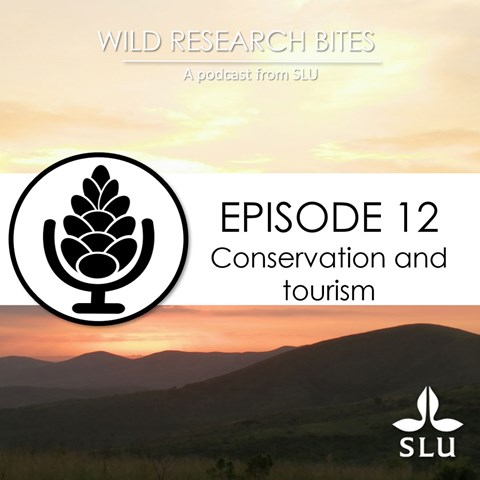 Solnedgång i Sydafrika med texten Episode 12 Conservation and tourism.