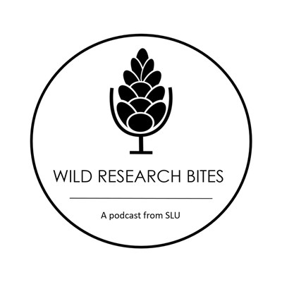 Logo för podcasten Wildresearch bites.