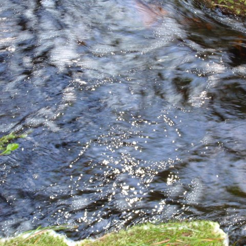 Sun glitter in a stream, photo.