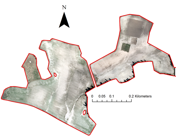 Two fields. Aerial photo.