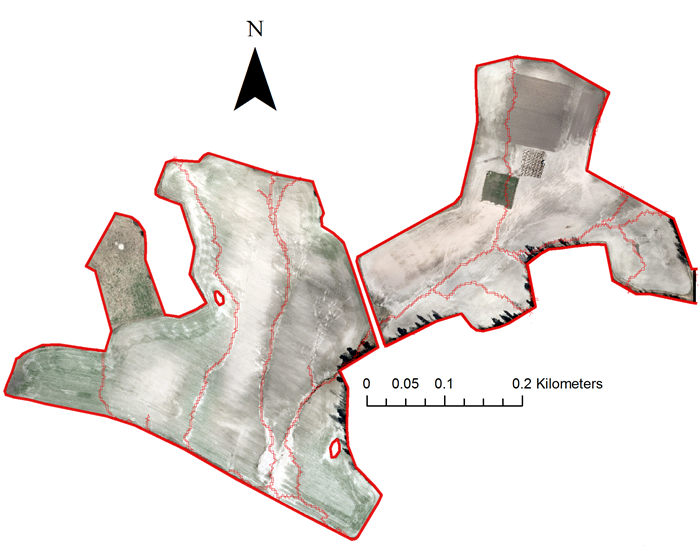 Flytfoto av två fält. Erosionslinjer markerade i rött. Illustration.