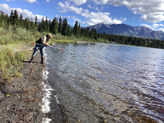 Person collecting a water sample from the shore. Photo.