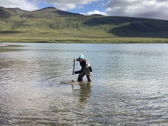 Field technician standing in a lake with a sampling net. Photo.