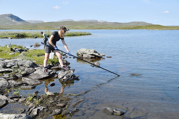 Two persons doing field work in an Arctic landscape. Photo.