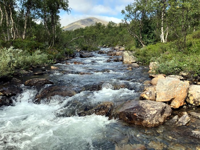 River. Photo.