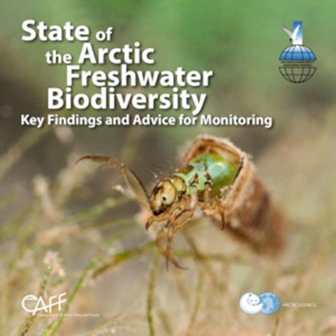 Front cover of a report.