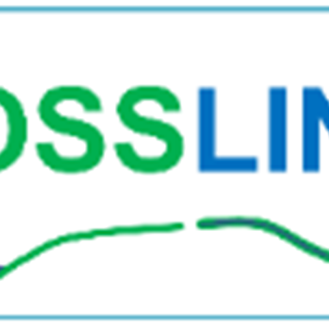 The logotype of Crosslink. Illustration.