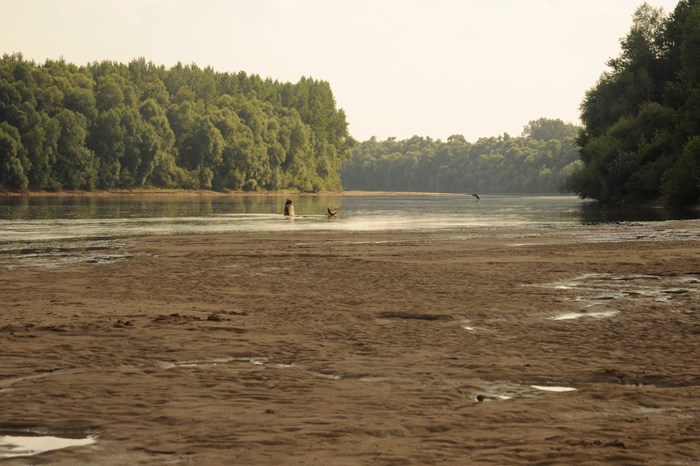 Wide river where half of the bed is dry. Photo. 