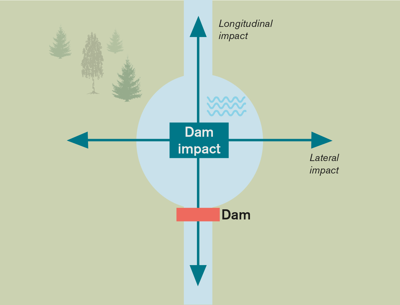 Schematic illustration of dam impact on ecosystems.