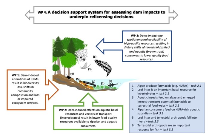Schematic diagram of research project.