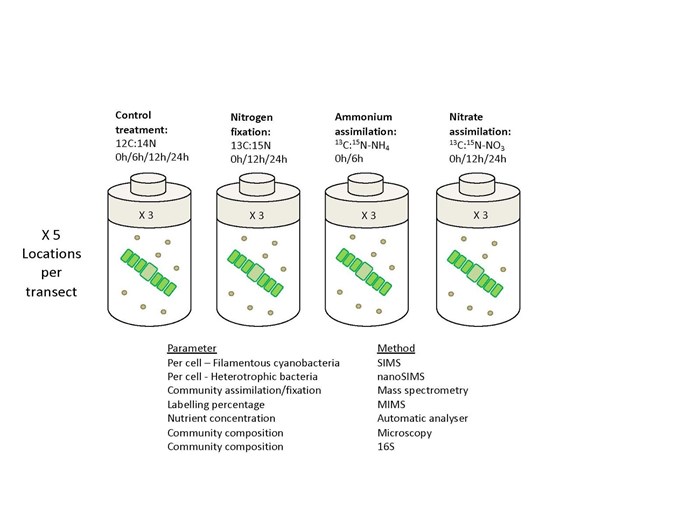 Four bottles with different conditions. Illustration.