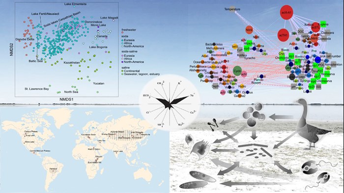 Schematic overview of research projects. Illustration.