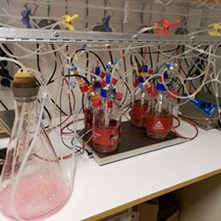 Experiment med e-kolv och flaskor med slangar, i ett dragskåp. Foto.