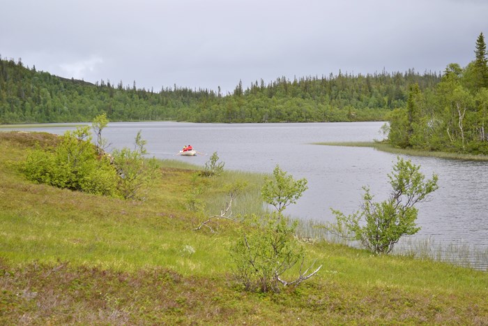 Sjö med gräs i förgrunden och skog i bakgrunden och två personer i en roddbåt på sjön. Foto.
