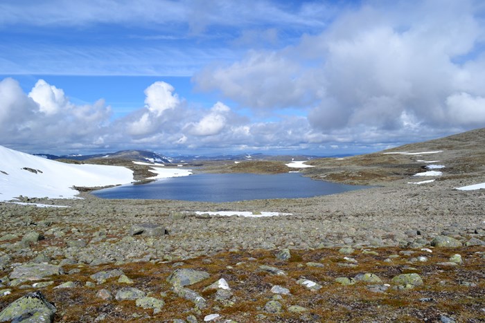 Arctic lake with snow on one of the shores. Photo.