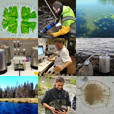 Collage with nine photos of among others plankton, sampling and laboratory work.