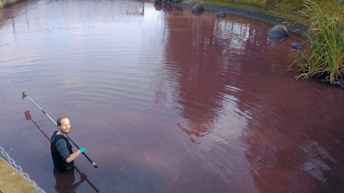 Man standing in water taking samples. Photo.