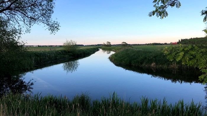 Flod rinner genom jordbrukslandskap. Foto.
