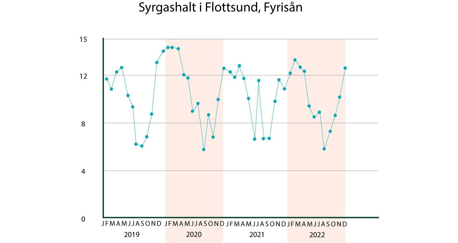 Graf som beskriver syrgasnivå i Flottsund 2019-2022.