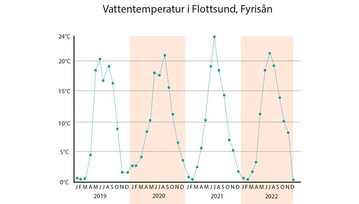 Vattentemperatur i Flottsund. Diagram.