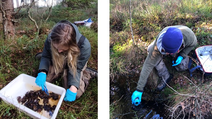 Two photos of persons sampling in forests. Photo collage.