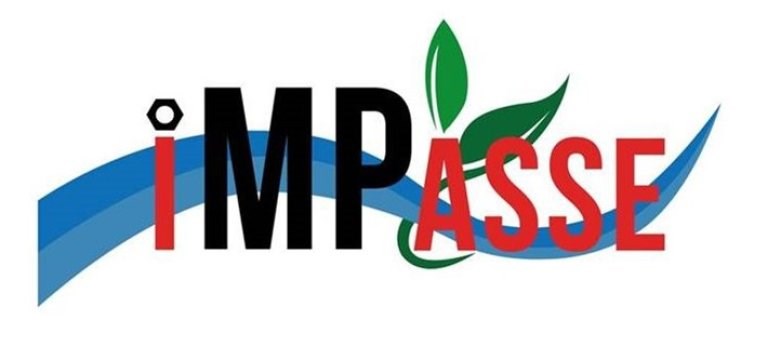 The Impasse logotype. Illustration.