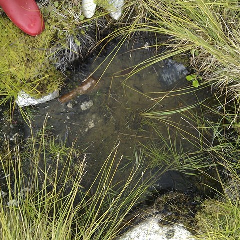 Hålighet i marken där där det samlats vatten samt två röda stövlar tillhörande en person som står bredvid försänkningen. Foto.