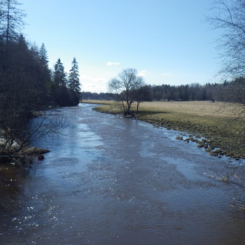 High water flow in a stream with agriculture on one side and forest on the other. Photo.