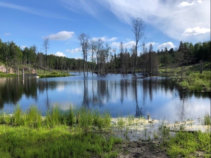 Våtmarksrestaurering vid Nynäs. Foto.