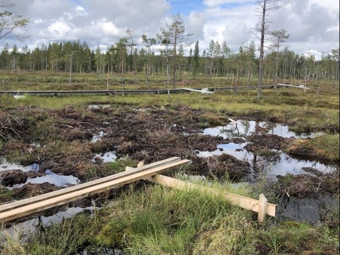 Våtmarksrestaurering vid Trollberget. Foto.