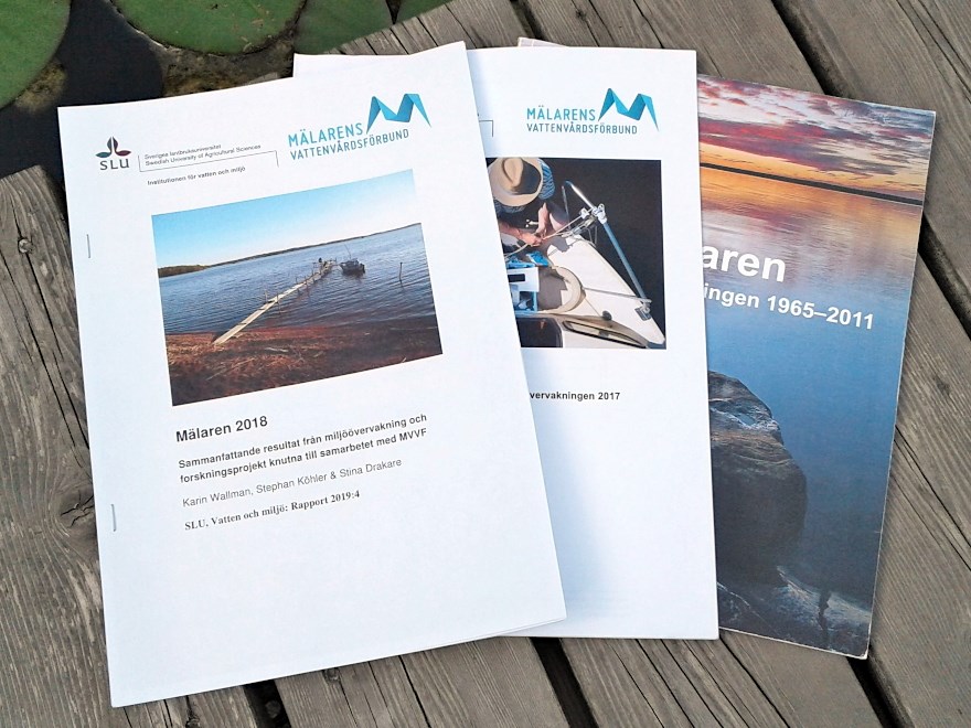 Reports on a jetty. Photo.