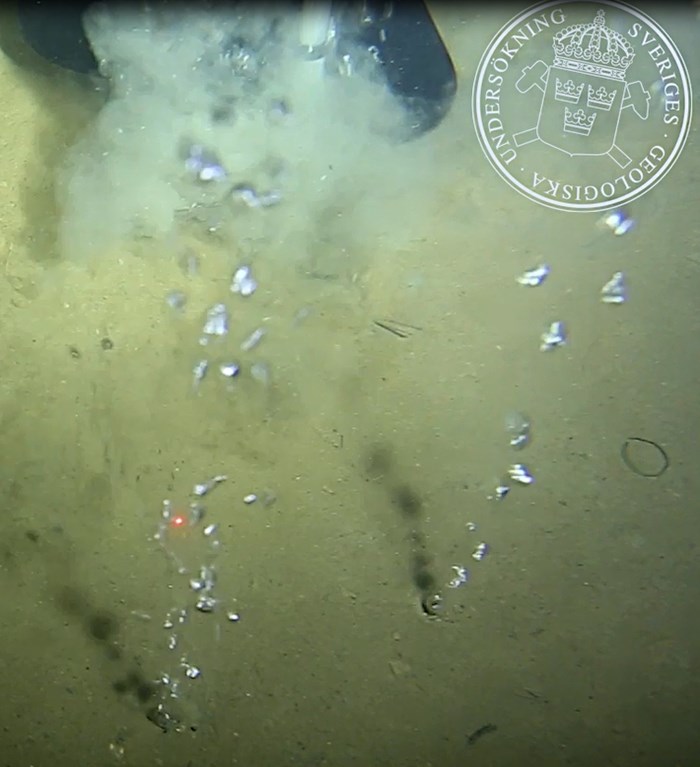 Sediment on the ocean floor. Photo.