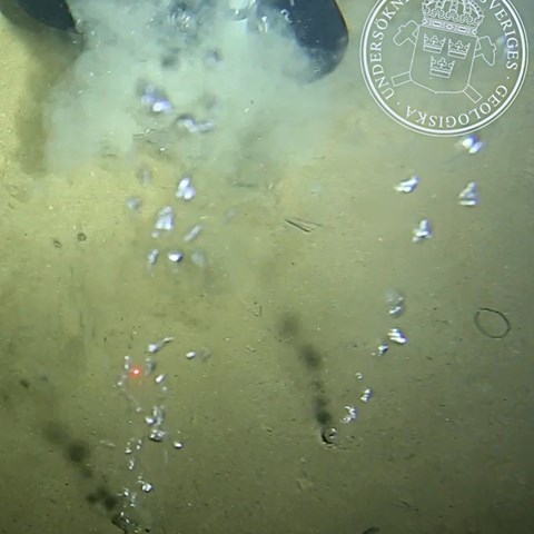 Sediment on the ocean floor. Photo.