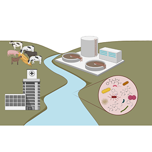 Landscape with animals, a hospital and a river with microbiota. Illustration.