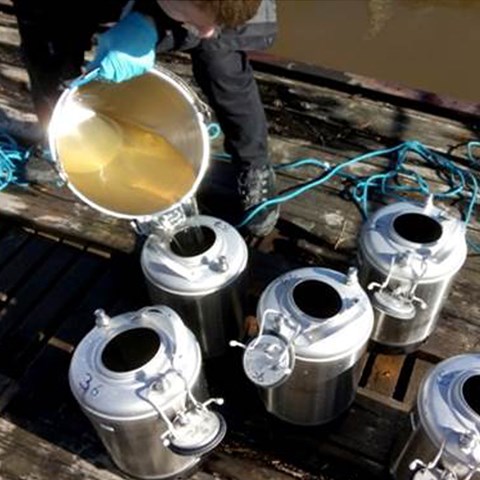 Person pouring water from a bucket to metallic bottles. Photo.