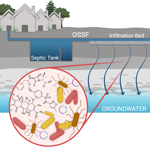 En schematisk bild som visar ett hus med en septiktank, en infiltrationsbädd, grundvattnet och bakterier. Illustration.
